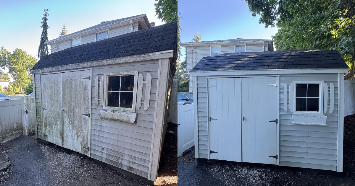 Backyard Shed — before and after pressure washing by GMT Power Wash